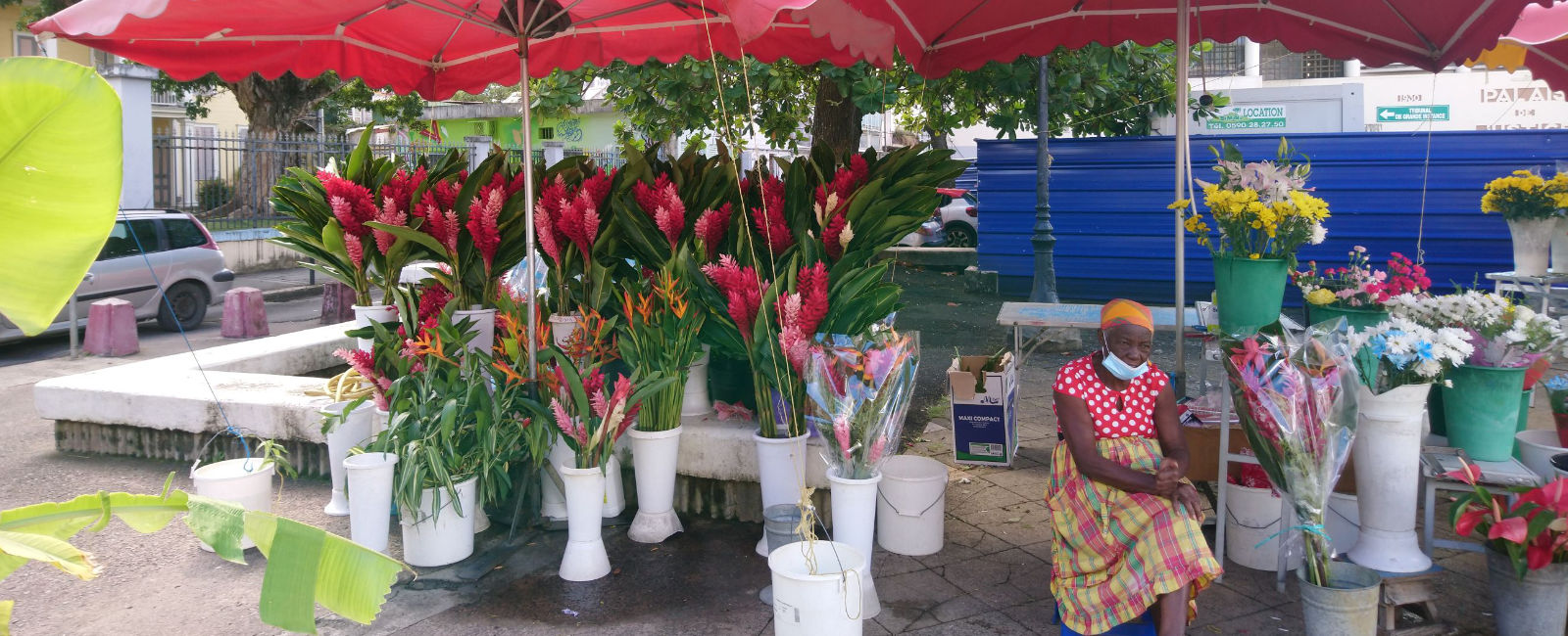 Le marché aux fleurs 